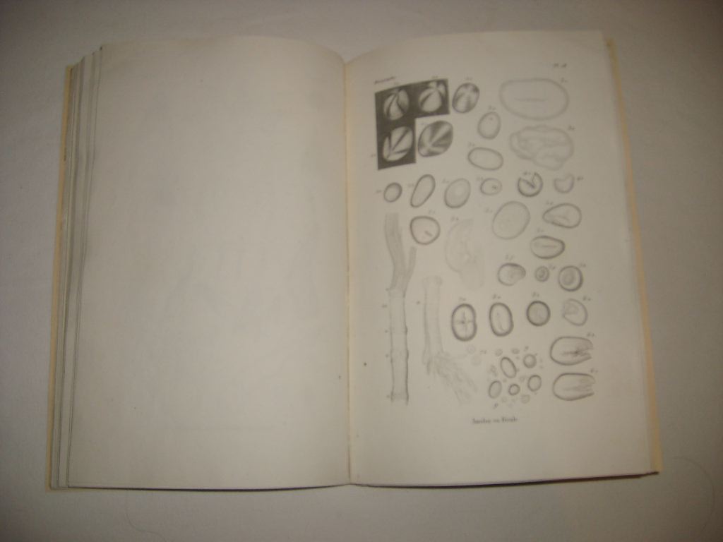 DUJARDIN (M.) - Nouveau manuel complet de l'observateur au microscope. Atlas.