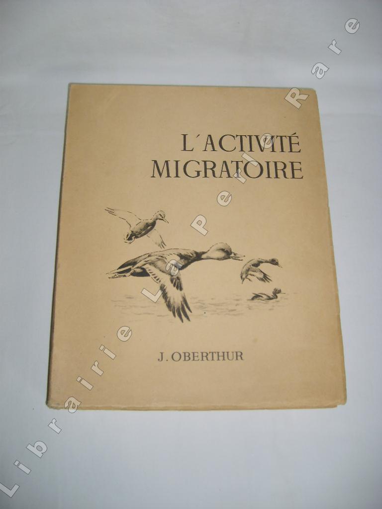 OBERTHUR (JOSEPH) - L'activit migratoire.
