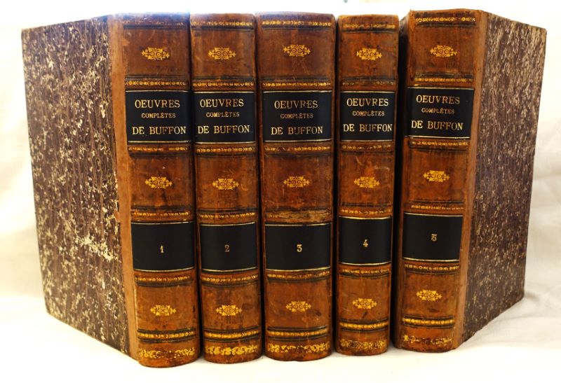 BUFFON (Georges-Louis Leclerc, comte de). - Oeuvres compltes de Buffon mises en ordre et prcdes d'une notice historique par M. A. Richard, suivies de la classification compare d'aprs MM. Cuvier, Lesson etc., etc.