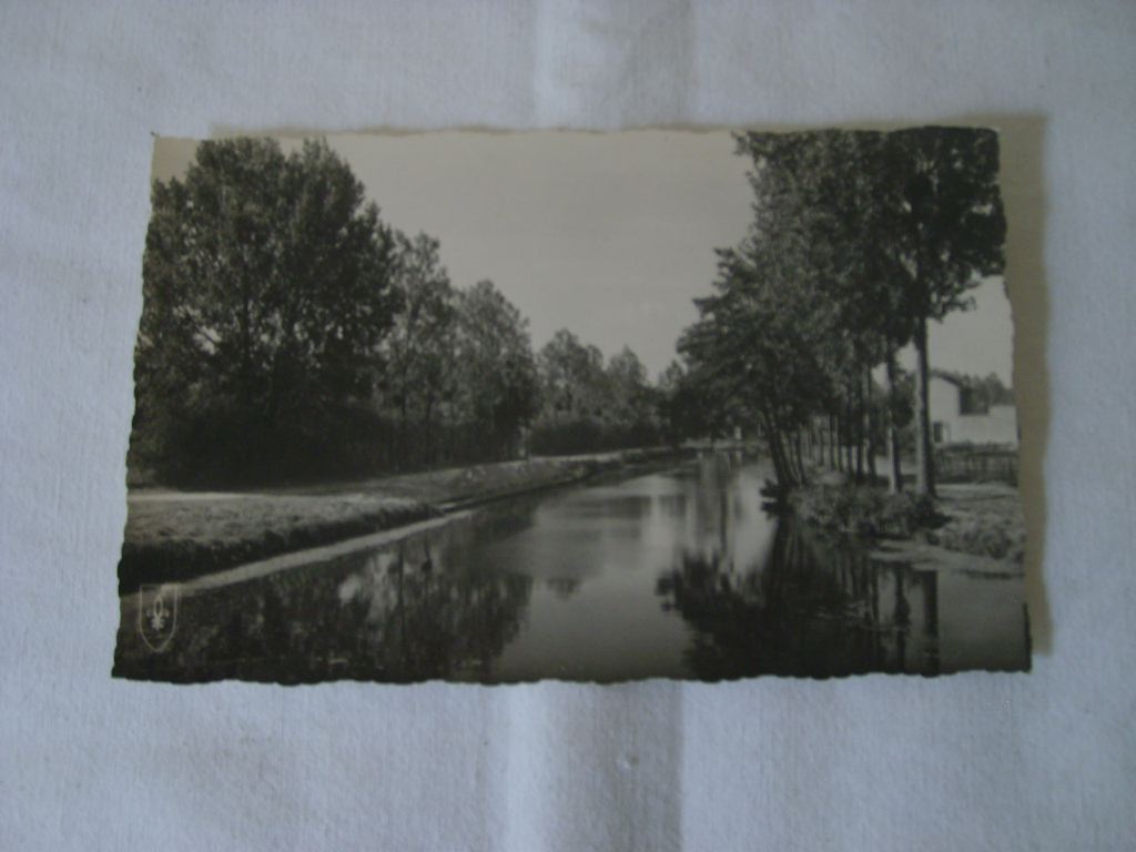  - La Fert Saint-Aubin (Loiret). Promenades le long du Cosson.