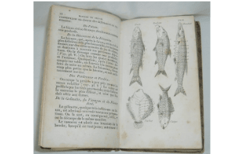 La cuisinière de la campagne et de la ville, ou nouvelle cuisine économique.