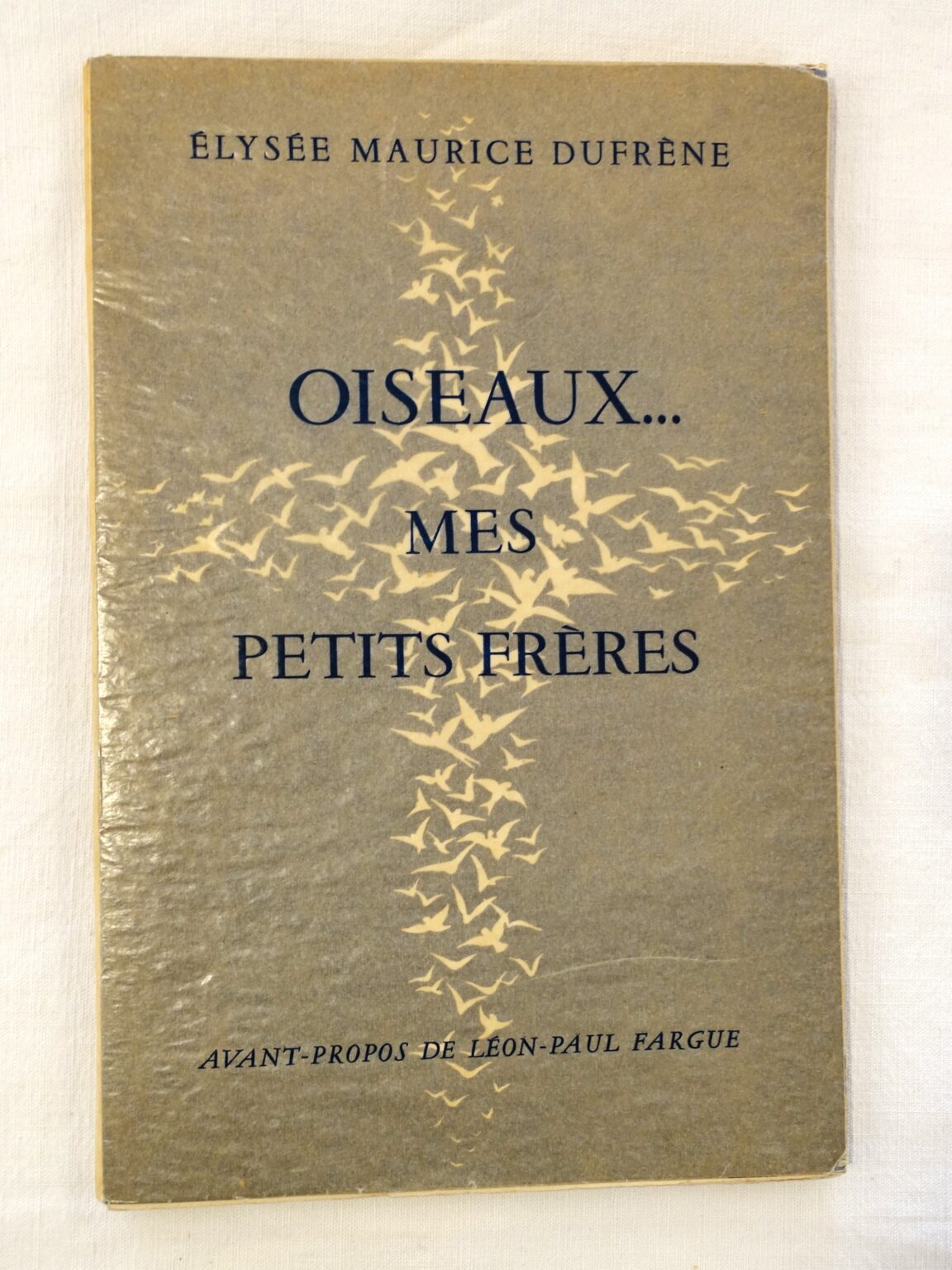 Oiseaux… mes petits frères.